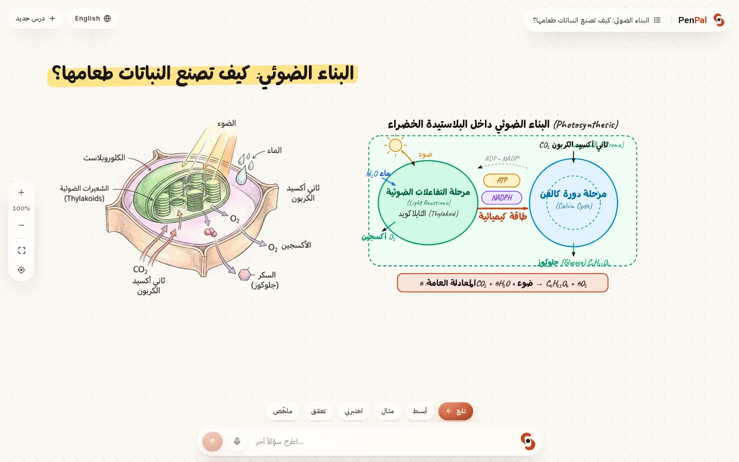Photosynthesis — taught in Arabic
